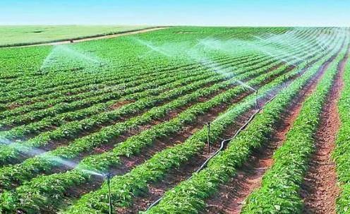 大肉棒使劲干小穴视频农田高 效节水灌溉